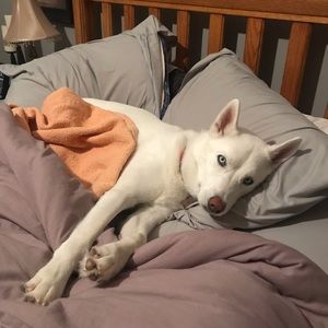 Meet your Posher, Amy